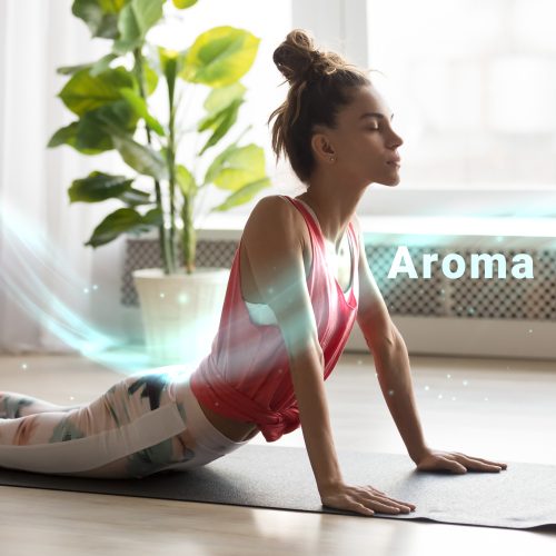 R-8802 (e)2500x2500_aroma
